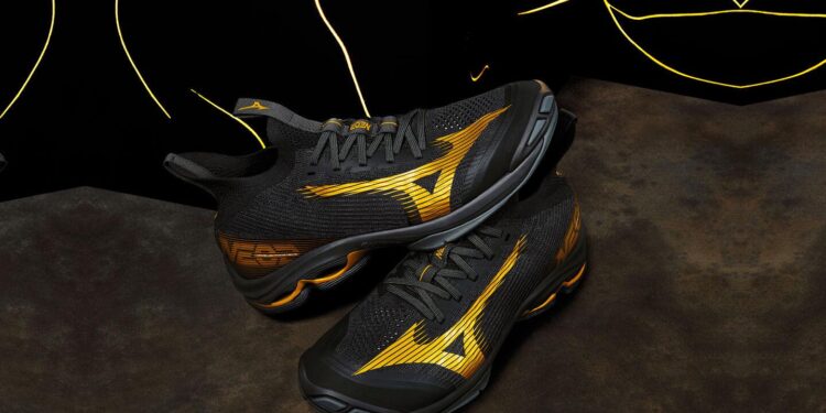 Chơi Cầu Lông Nên Chọn Những Đôi Giày Nào?