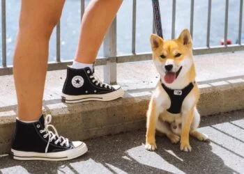 So sánh giữa giày da và giày vải